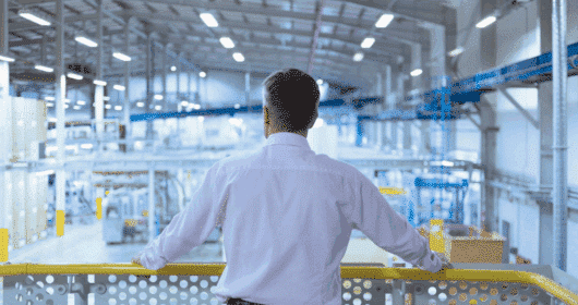 Osoba w jasnej koszuli stoi na antresoli i patrzy na dużą, nowoczesną halę produkcyjną z maszynami i liniami technologicznymi.
